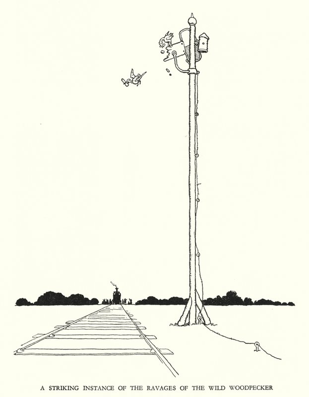 Illustration für Railway Ribaldry von W Heath Robinson von William Heath Robinson