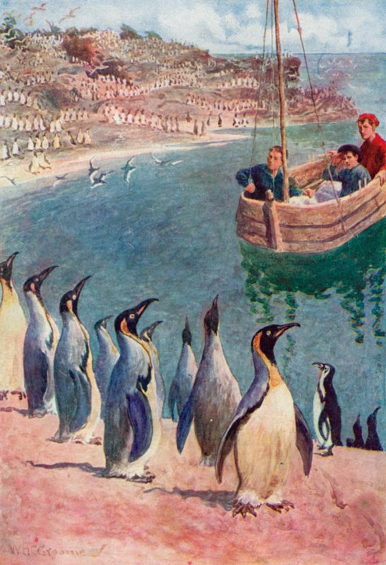 Wir betrachteten die Vögel mit Überraschung und Freude, sie erwiderten unseren Blick mit Interesse von William Henry Charles Groome