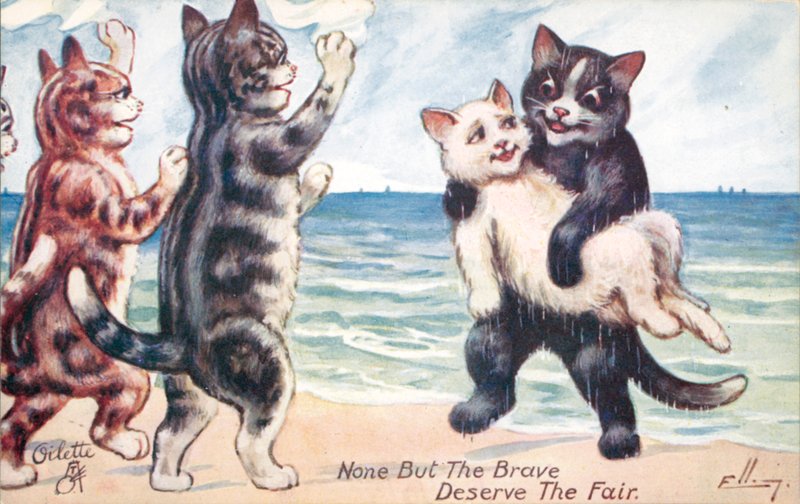 Humorvolle Katzenpostkarte von William Henry Ellam