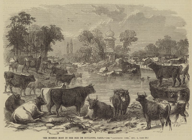 Die gehörnte Herde im Bois de Boulogne, Paris von William Henry Prior