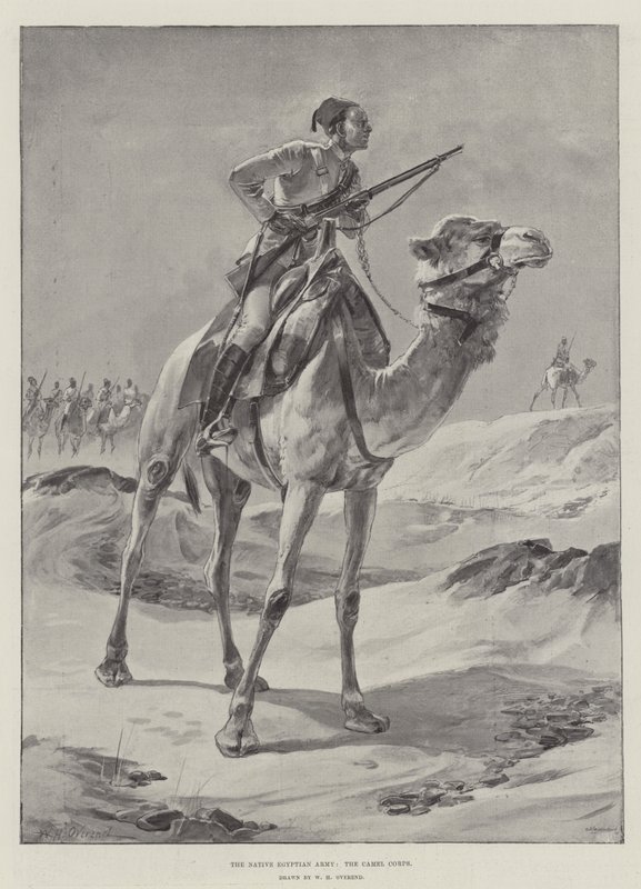 Die einheimische ägyptische Armee, das Kamelkorps von William Heysham Overend