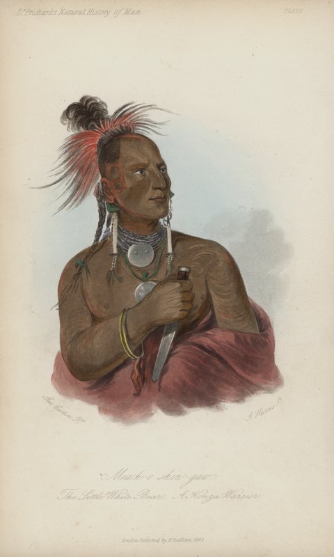 Meach-o shin-gaw, Der kleine weiße Bär, ein Konza-Krieger (Aquatinta) von after George Catlin