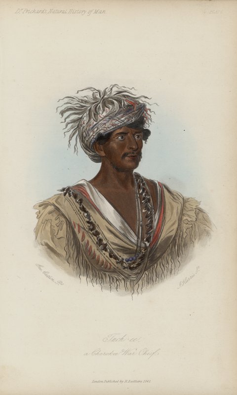 Tuch-ee, ein Cherokee-Kriegshäuptling (Aquatinta) von after George Catlin