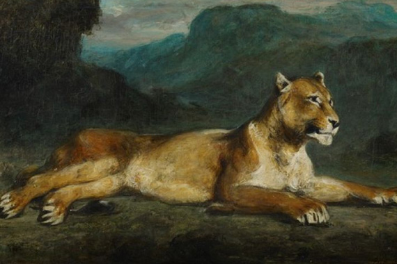 Wilde Tiere