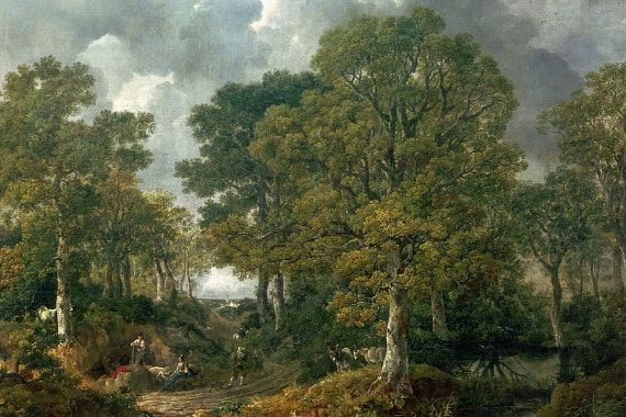 Wald