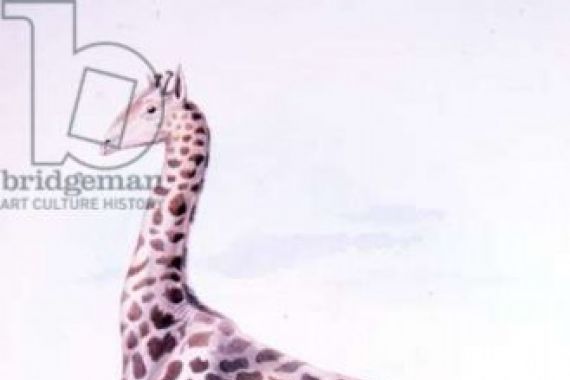 Charles Hamilton after Smith