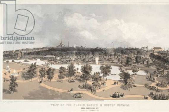 Edwin after Whitefield