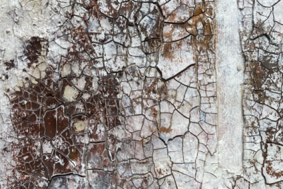 Gabriela Aleksandra Szuba