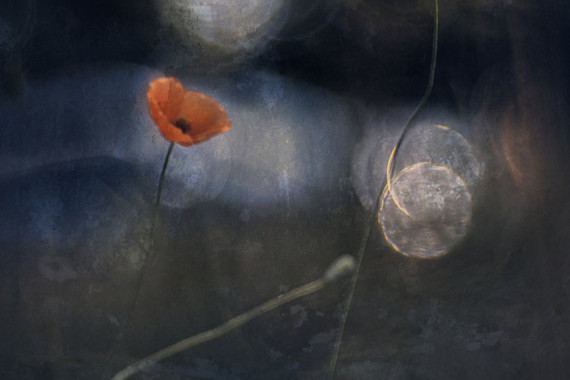 Jan van der Linden