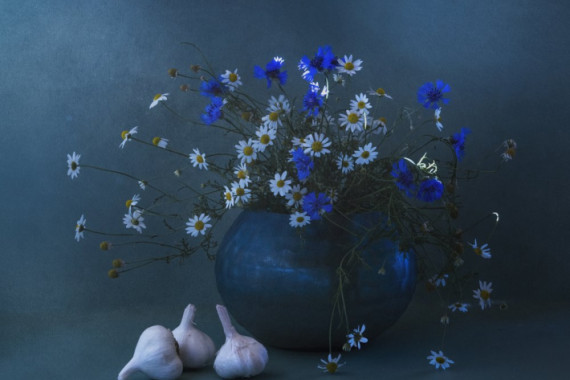 Judy Tseng