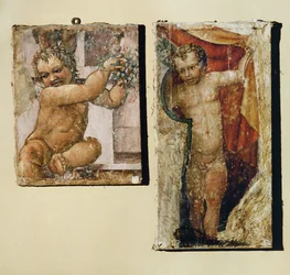 Putto mit Blumen, Putto mit einem Vorhang