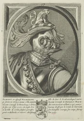 Floris IV., Graf von Holland