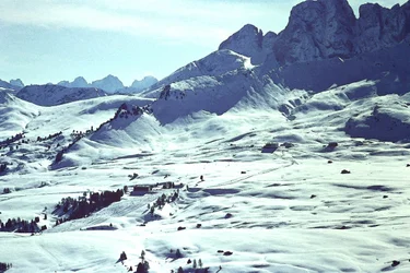 Schneelandschaft
