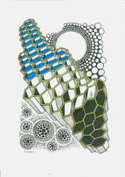 Hexagon