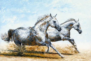 Frei geboren