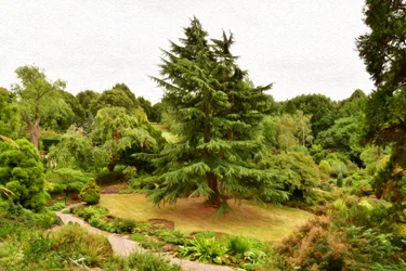Natur Landschaft