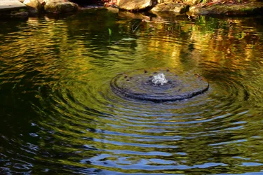 Wasserreflexion