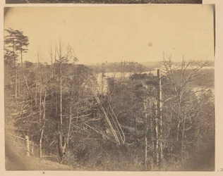Landschaft mit Bäumen und Wasser