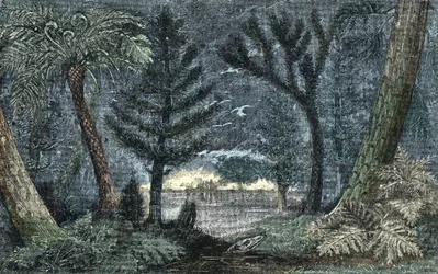 Urgeschichte: charakteristische Landschaft mit Sumpf und Wald