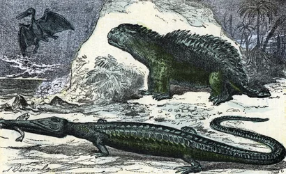 Urgeschichte: Darstellung eines Teleosauriers (verlängerte Schnauze) und eines Hylaeosauriers aus der Jurazeit. Stich aus „Natur und Mensch“ von Rengade, 1881, Privatsammlung