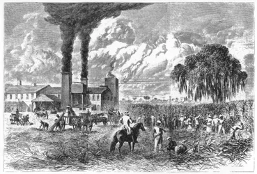 Zuckerplantage, New Orleans, 1870