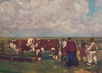 Stammbuch-Ochsen auf einer Lemco-Estancia, 1916