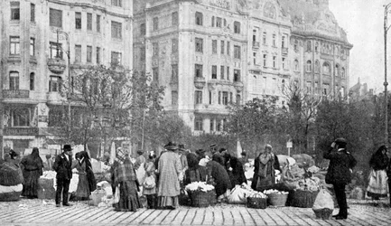 Großer Blumenmarkt, Budapest, Ungarn, 1922