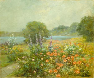 Mohnblumen