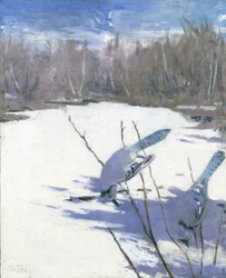 Blauhäher im Winter, Studie für das Buch Concealing Coloration in the Animal Kingdom