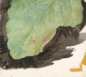 Heterocampa Biundata, Walker, Studie für das Buch Concealing Coloration in the Animal Kingdom, n.d.