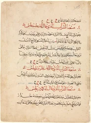 Textseite aus einer Materia Medica von Dioscorides, um 1224