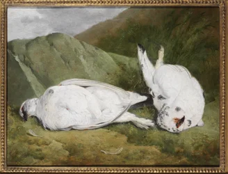Schneehuhn
