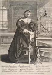 Der Papagei, 1620-76