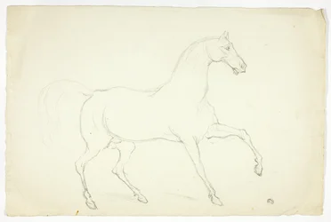Hengst