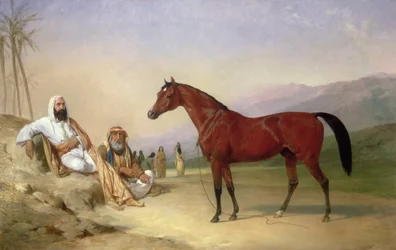 Zwei Beduinen mit einem Araberhengst in der Wüste