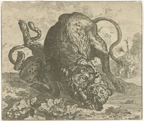 Leopard und Stier