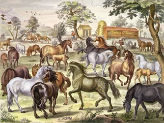 Freilaufende Pferde, Tafel 11 aus 