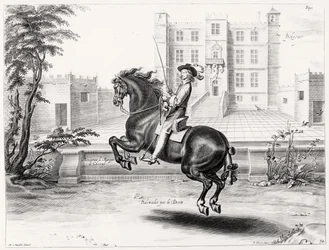 Illustration aus einem Reitmanual, graviert von Peeter Clouwet (1629-70), 1658