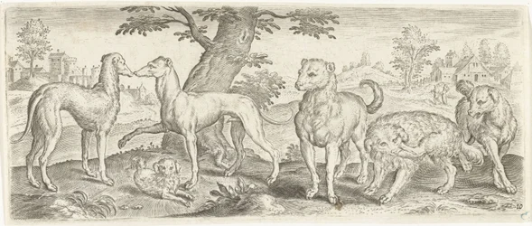 Hunde