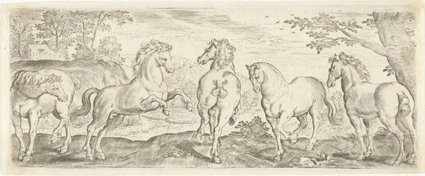 Pferde