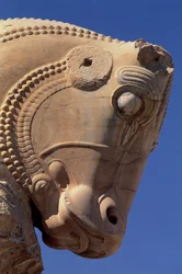 Stierkopf am nördlichen Portikus der Thronhalle von Xerxes