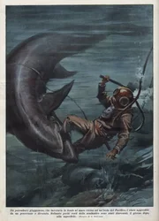 Ein japanischer Taucher mit einem Skaphander wurde im Pazifischen Ozean von einem Hai verschlungen. Illustration von Achille Beltrame aus „La domenica del corriere“ vom 08.08.1937.