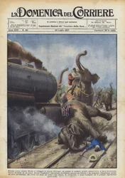 Koloss gegen Kolosse