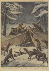 Gezwungen, in einem Wald in Transsilvanien wegen eines Motorschadens zu landen?