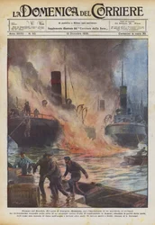 Flammen auf der Donau
