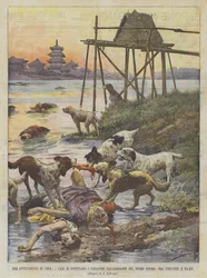 Die Ereignisse in China, Hunde streiten um die im Fluss Pei-Ho zwischen Tien-Tsin und Ta-Ku treibenden Leichen