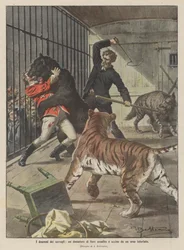 Die Dramen der Menagerien, ein Tierdompteur wird von einem wütenden Bären angegriffen und getötet