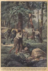 Die Wilden der Zivilisation