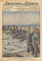 Der König in Sardinien