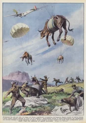 Das Vieh, das vom Himmel fällt